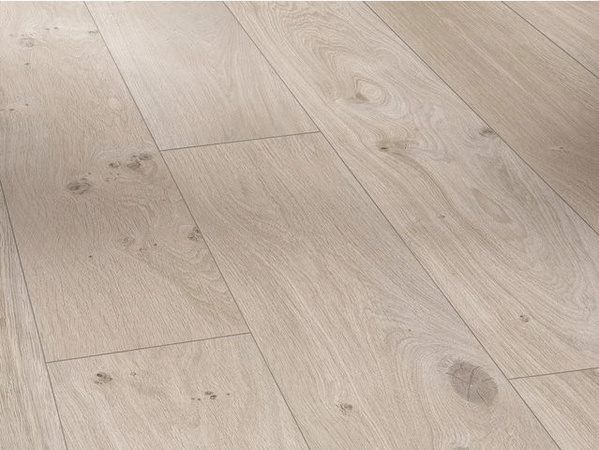Parador Basic 400 Laminat in Eiche Natur Grau, wasserfest, 8 mm Stärke