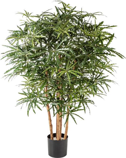 Künstliche Aralia Tyler von Aplanta in Grün, Höhe: 115 cm - Bild 1