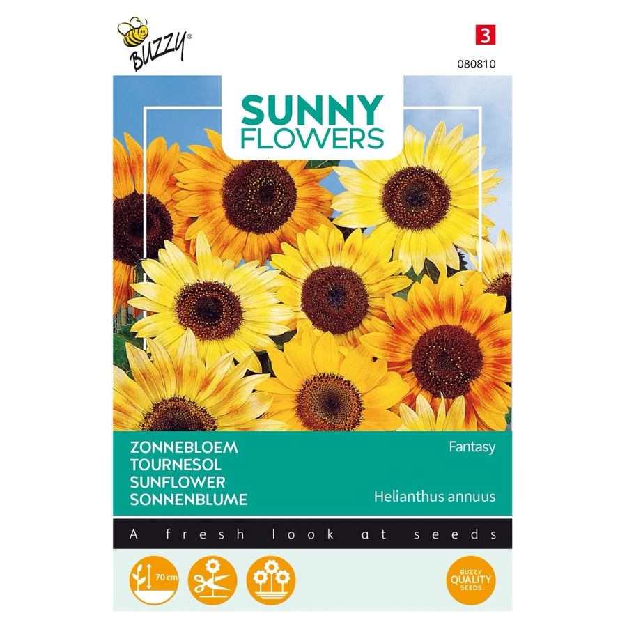 Sonnenblume Fantasy Buzzy Sunny Samen von arborix für Beet und Topf, ca. 1 g - Bild 2