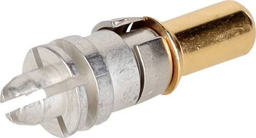 Molex Buchsenkontakt in Gold 1731120629 - Bild 1