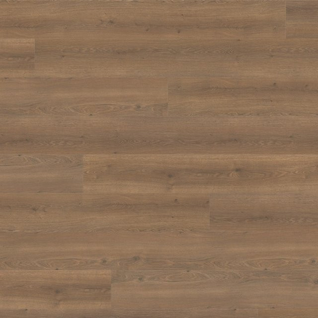 Haro Living by Haro XL Laminat Eiche Flavia Geräuchert in Holzoptik 8 mm Dicke - Bild 1