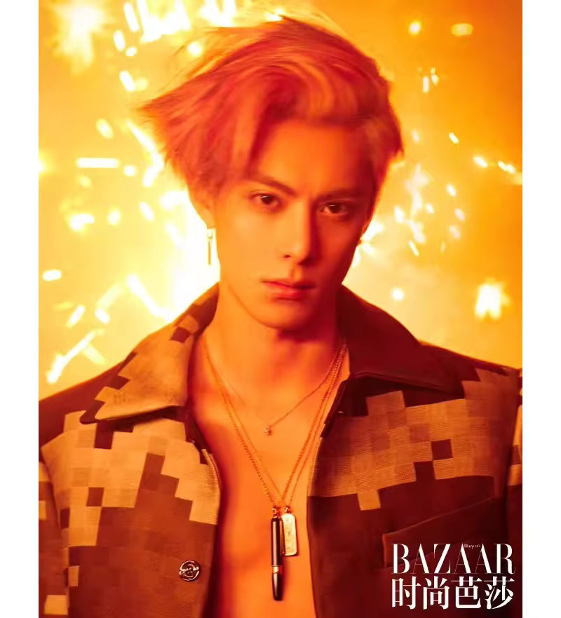 Wang Hedi Harper's Bazaar Magazine Cover Kunstsammlungsbuch mit Fotoalbum und Insider-Aufnahmen - Bild 4