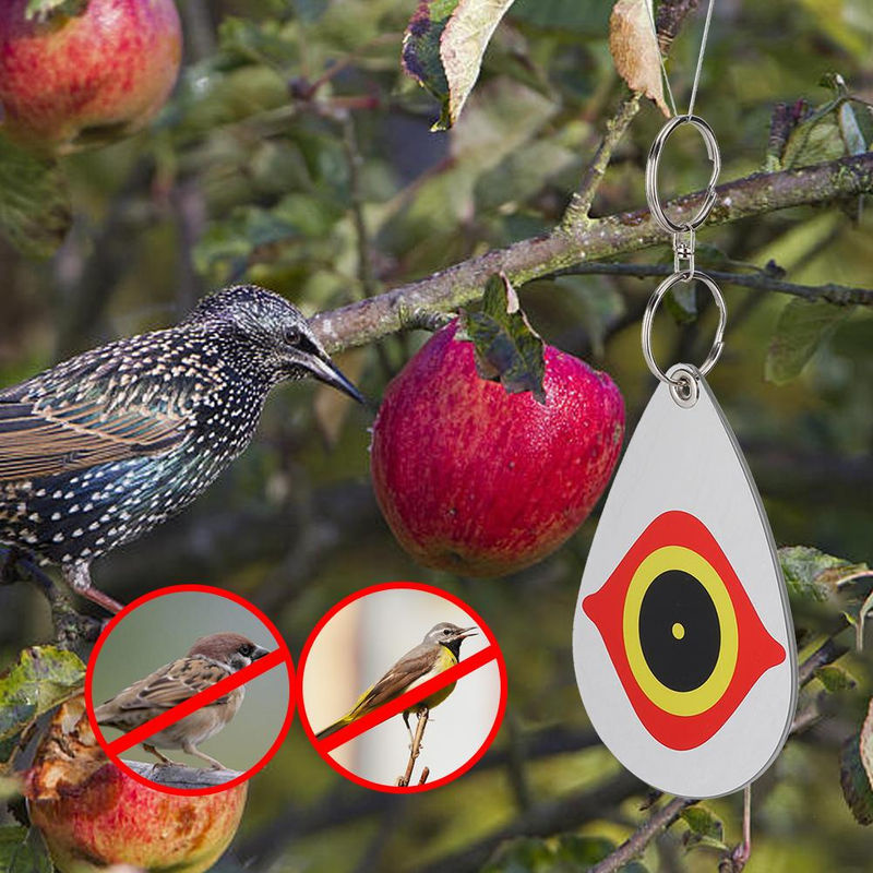 CosyHome 5er Set Reflektierende Vogelabwehr Ornamente mit Auge Muster in Multicolour aus PVC für Garten Balkon und Obstgarten - Bild 4