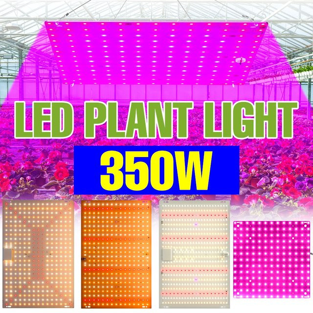 NJHIKG 350W Vollspektrum LED-Pflanzenlampe Quantum Board für die Innenraumbeleuchtung von Gemüse und Blumen - Bild 1
