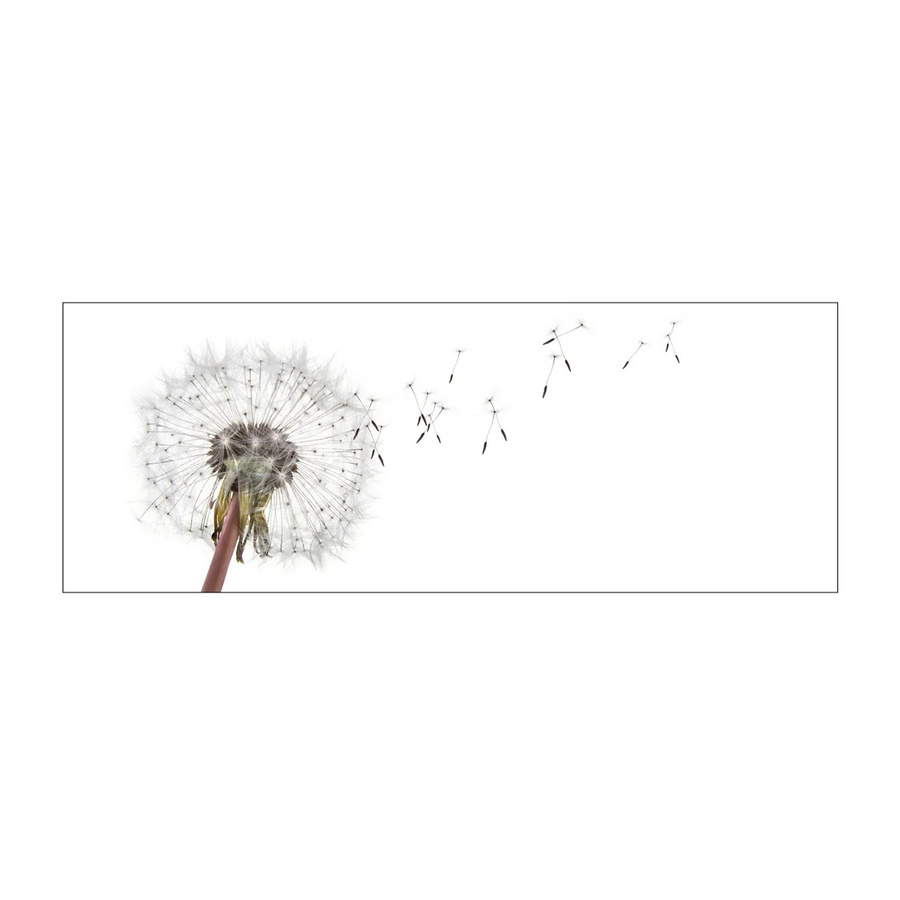 MySpotti Küchenrückwand Profix Cucina Dandelion in Weiß-Schwarz mit Aluminiumprofil, B: 160 cm, H: 60 cm - Bild 1