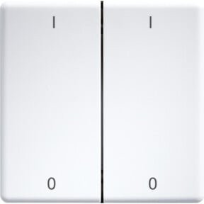 Eltako Doppelwippe Switch lasergraviert weiß glänzend DW-FT55-wg+IO für 55x55mm - Bild 1