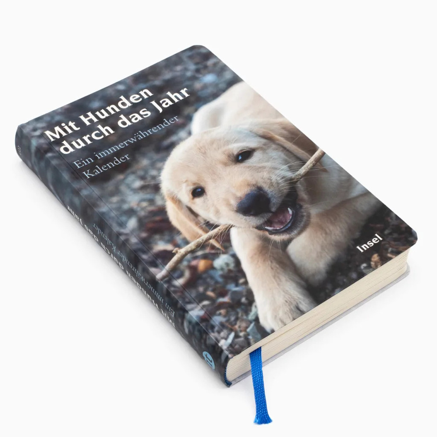 Mit Hunden durch das Jahr Daily Kalender vom Insel Verlag in Multicolor - Bild 4