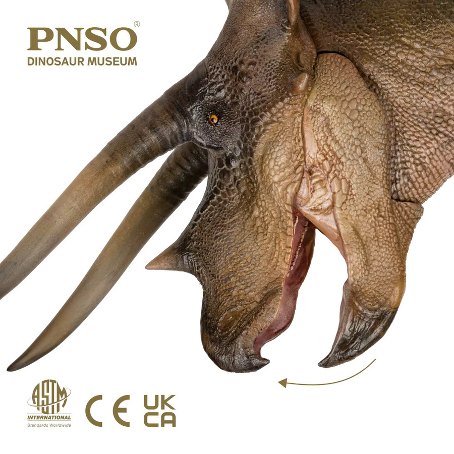 Pnso Dinosaurier Museen Serie, Triceratops, Kunstmodell, Braun - Bild 4