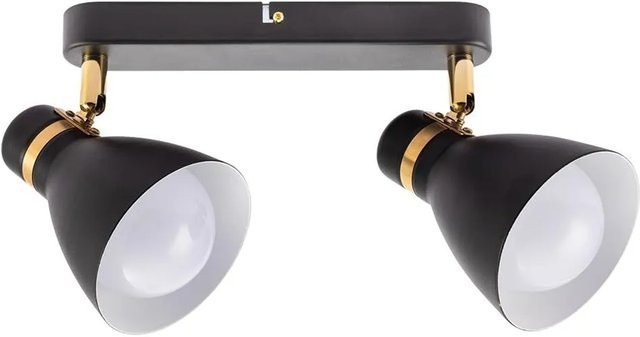 Arte Lamp Deckenstrahler Fafnir 2-flammig schwenkbar Schwarz E27 aus Metall - Bild 1