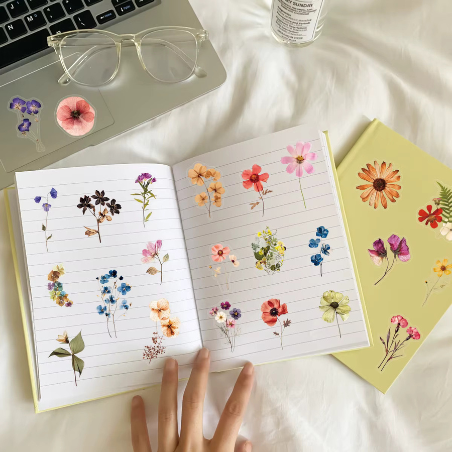 50 Stück transparente gepresste Blumen-Aufkleber in Multicolour für deine DIY-Dekoration an Laptop, Kühlschrank oder Skateboard - Bild 4