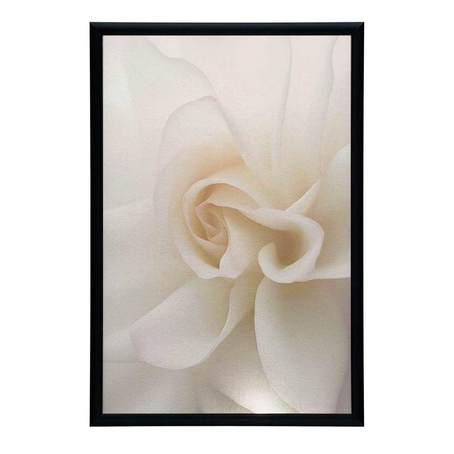 Harmony Posters Wandbild Ätherische Weiße der Rose in Weiß auf mattem Papier mit dunkelbraunem Holzrahmen, B: 30 cm, H: 40 cm - Bild 2