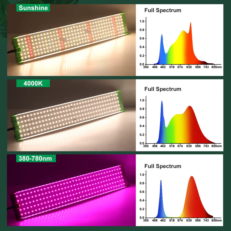 Hunta Full Spectrum LED Wachstumslicht Lm281B für Indoor Gewächshaus und Hydrokultur - Bild 2