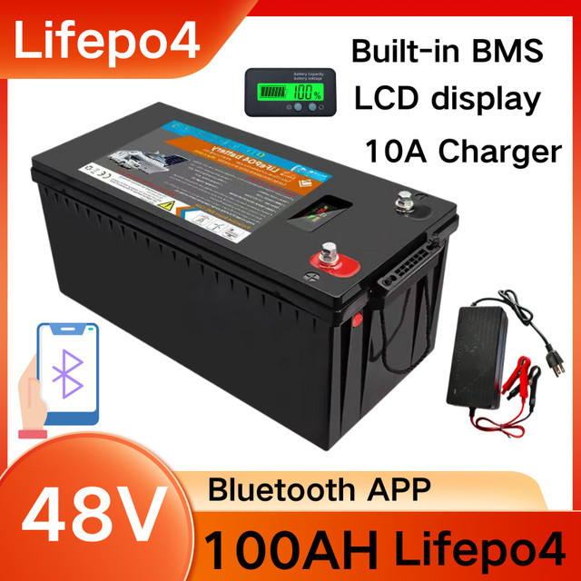 DIXSG 48V 100Ah LiFePO4-Batterie mit BMS und 58,4V 10A Ladegerät in Schwarz - Bild 1
