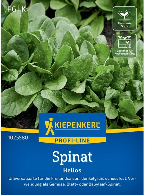 Kiepenkerl Profi-Line Spinat Helios F1-Hybride Gemüsesaatgut für Freiland, Gewächshaus und Hochbeet - Bild 1