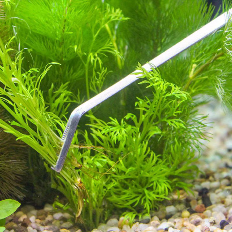 louCnloin Edelstahl Aquarium Schere und Pinzette Set zur Aquarienreinigung in Silber - Bild 4