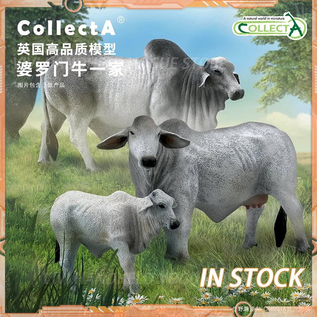 CollectA Brahman-Bulle, Tiermodell, Grau - Bild 1