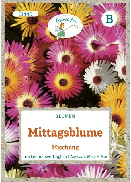 Grüne Fee Mittagsblume Mischung Saatgut für Beeteinfassungen und Steingärten - Bild 1