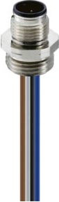 Lumberg Automation Einbaustecker M12 RSFM 4/20 aus Kunststoff, mehrfarbig, 0,5 m - Bild 1