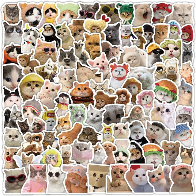 100 Stück realistische Katzen-Fotolaufkleber in Multicolor von RecordingYourLife Store - Bild 1