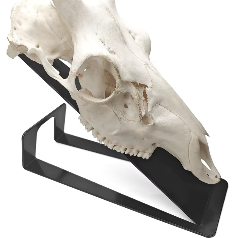 SEHOR European Mount Skull Hanger aus Metall in Schwarz zum Aufhängen von Hirschschädeln und Pronghorn-Schädeln - Bild 2