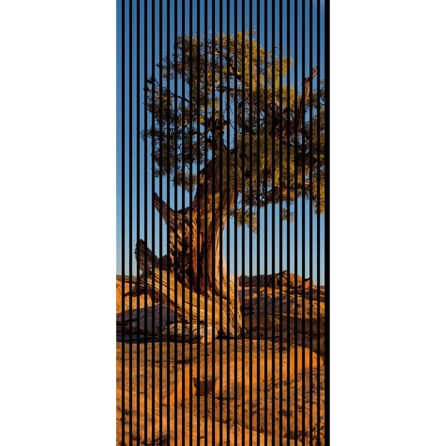 FN Acustico Akustikplatte Steppe 1 Bunt aus PET und MDF mit modernem Design, B/T/H: 113,3 x 19,0 x 240,0 cm - Bild 2