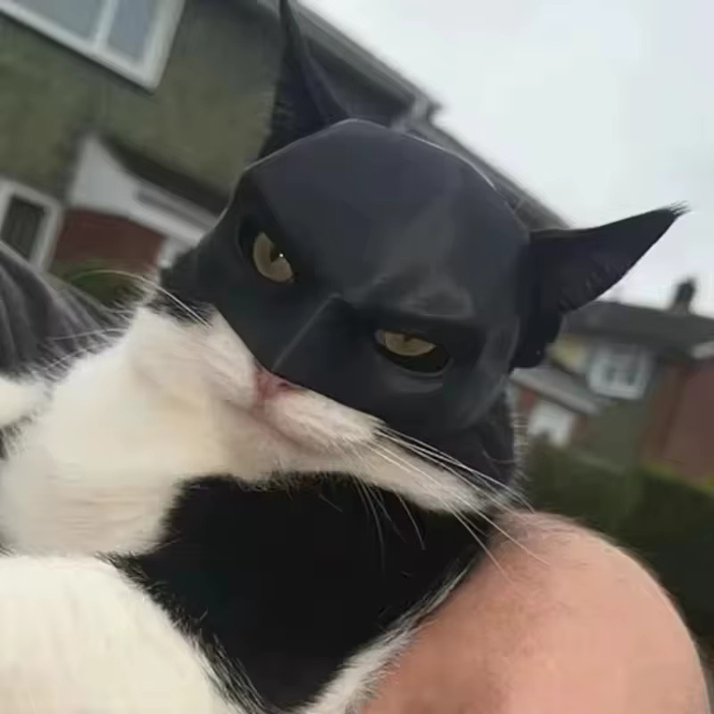 Meade Halloween Fledermaus Haustiermaske, Spielzeug für Katzen und Hunde - Bild 2