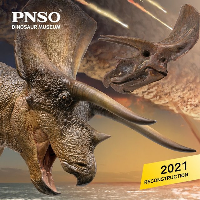 Pnso Dinosaurier Museen Serie, Triceratops, Kunstmodell, Braun - Bild 1