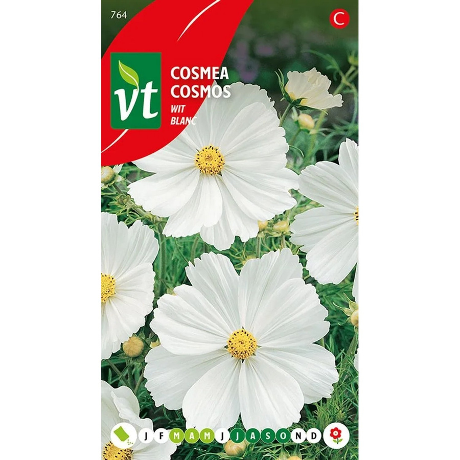 Arborix Cosmea Blanc Saatgut mit weißen Blüten, ca. 1 g - Bild 2