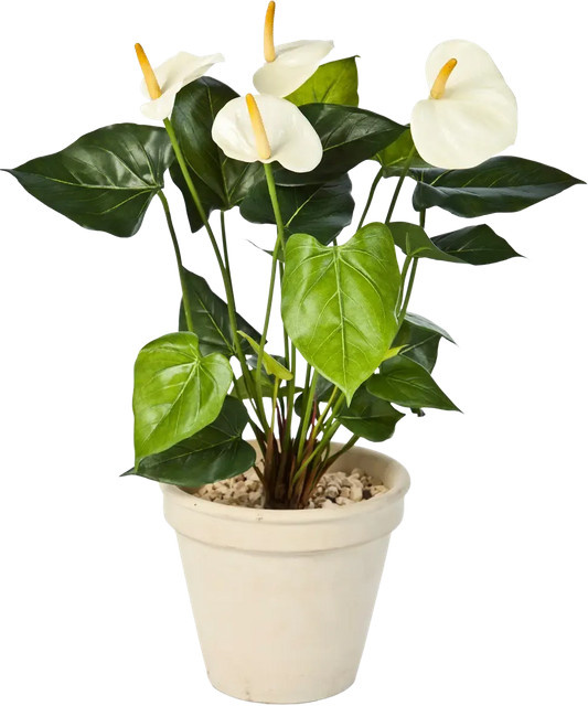 Künstliche Flamingoblume Nora von Aplanta als Steckpflanze, Höhe: 56 cm - Bild 1