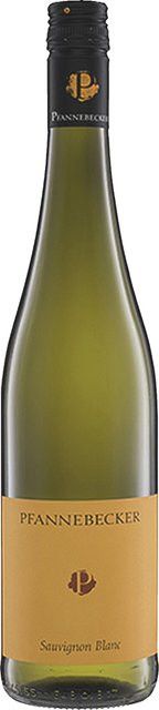 Pfannebecker Sauvignon Blanc Weißwein, Rheinhessen, 2025, trocken, 0,75 l - Bild 1