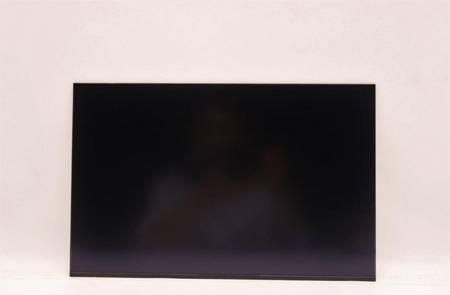 Lenovo Display AUO 16.0 WUXGA IPS AG in Schwarz (5D10V82410) - Bild 1