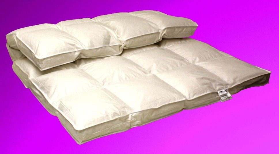 Betten Hofmann Premium Winter Daunendecke mit 8cm Hochsteg in Weiß, B/B: 155 x 220 cm - Bild 1