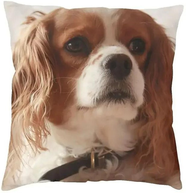 GUOYU HOMEDECOR Cavalier King Charles Spaniel Luxus-Kissenbezug, dekoratives Hundetier-Kissen aus Polyester, weiß, B/T/H: 60,96 x 60,96 x 0 cm - Bild 1