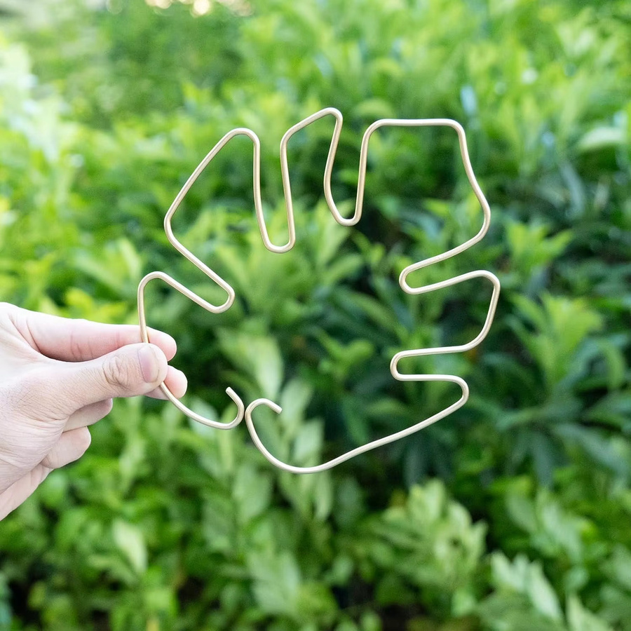 Robustes Bambus-Clip-Set in Weiß und Gold zur Unterstützung von Kletterpflanzen und Monstera als dekoratives Gartenzubehör - Bild 4
