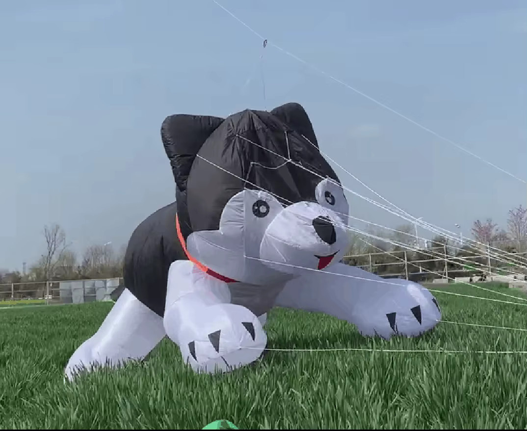 HFLY Husky Dog Kite Anhänger aufblasbarer Tierdrachen aus Nylon schwarz - Bild 2