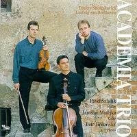 Klaviertrios von Academia Trio, CD - Bild 1