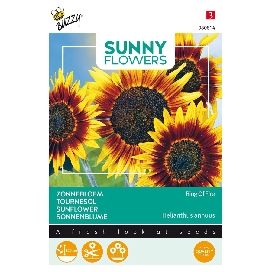 Sonnenblume Ring of Fire Buzzy Sunny Samen mit zweifarbigen Blüten, 0,75 g - Bild 2