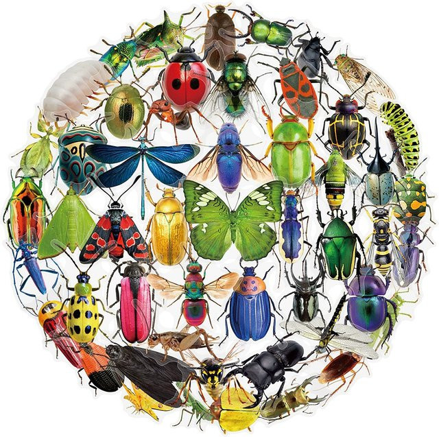 Charile Transparente Cartoon Insekten Aufkleber Multicolour für Laptop und Scrapbooking - Bild 1