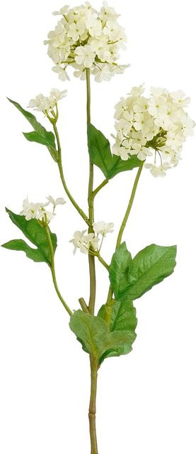 Mica Decorations Viburnum in Creme und Beige, Florale Dekoration, Höhe: 71,5 cm - Bild 1