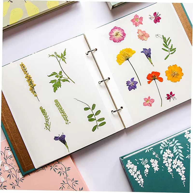 Grünes Scrapbook-Album aus Papier zur Aufbewahrung von Trockenblumen und gepressten Blättern für deine Pflanzensammlung - Bild 3