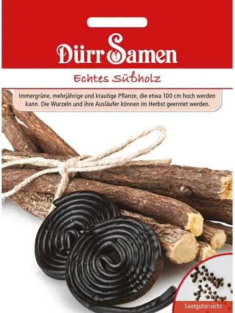 Dürr Samen Echtes Süßholz Saatgut für den Kräutergarten und Ziergarten - Bild 1