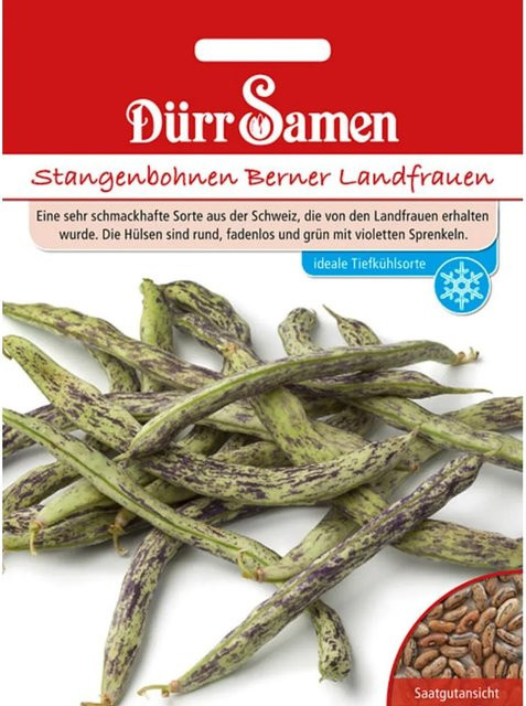 Dürr Samen Stangenbohnen Berner Landfrauen Saatgut 155 g - Bild 1