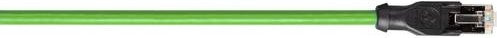 LAPP RJ45 Patchkabel Cat5e Ethernet LAN grün, Länge: 3 m - Bild 1