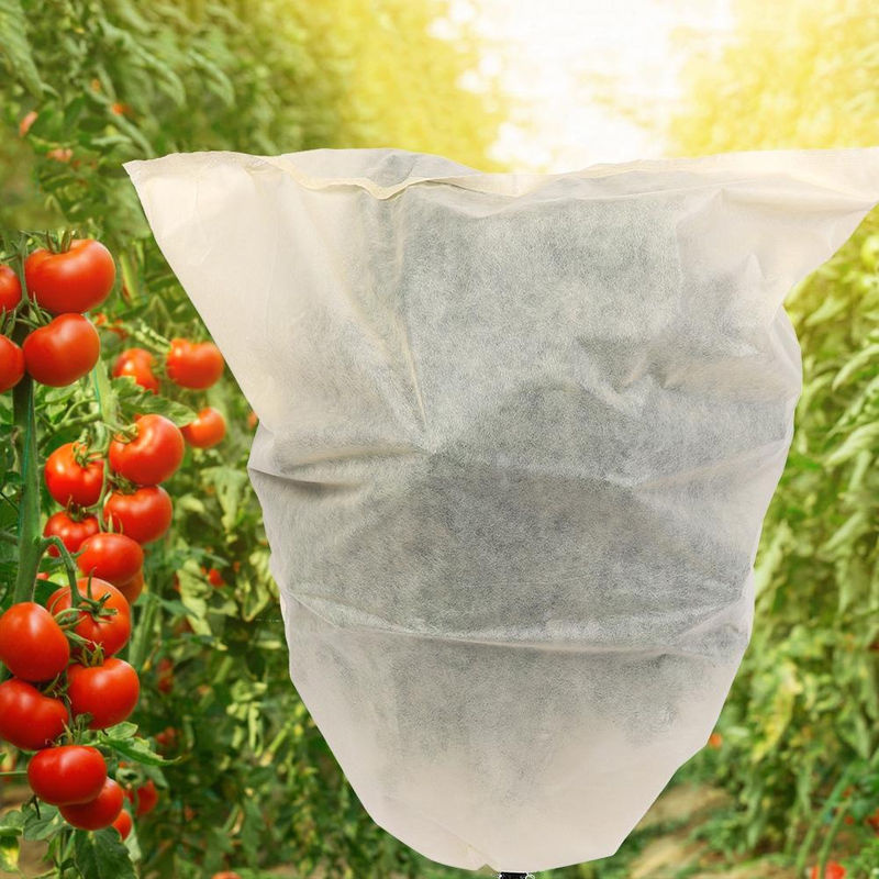 Neoglint 3er Set Pflanzenschutzbeutel aus PE-Material für Garten, Bäume, Blumen und Sträucher als Frostschutz und Sonnenschutz - Bild 2