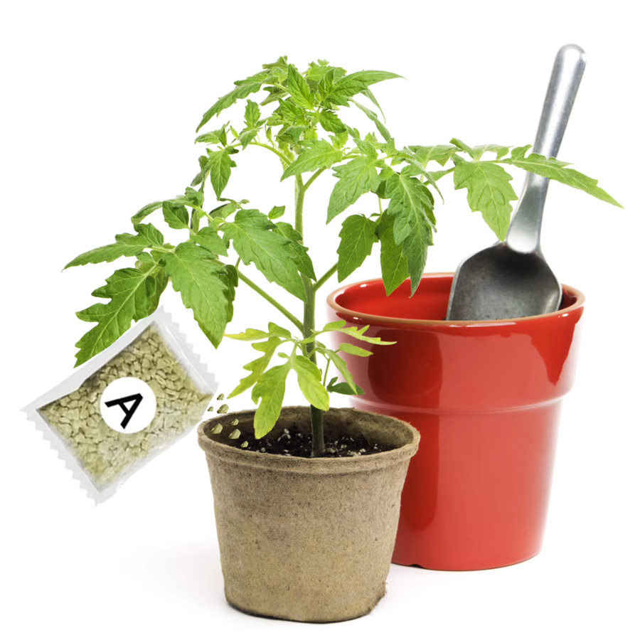Effiziente Nährstofflösung für die Pflanzendünger-Samenkeimung und Transplantation von Topfpflanzen und Blumenwurzeln - Bild 3