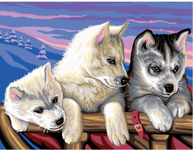 Mammut Malen nach Zahlen Huskies Set - Bild 1