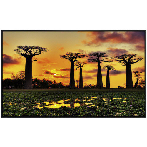 papermoon Infrarotheizung EcoHeat Baobabs Bäume Afrikanischer Sonnenuntergang mit Matt-Effekt in Bunt, App-Steuerung und Überhitzungsschutz - Bild 2