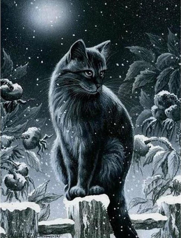 FIYO Diamond Painting Set Katze bei Nacht in Schwarz, 5D DIY Stickerei aus Kunstharz und Kunststoff, B/H: 20 x 30 cm - Bild 1