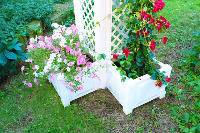 KHW Pflanzkasten mit Spalier 2er-Set, weiß, Breite: 43 cm - Bild 1