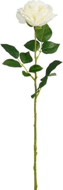 Mica Decorations Rose in Weiß, Höhe: 68 cm - Bild 1